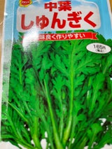 アタリヤ 中葉 しゅんぎく 春蒔き