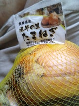 ホリアキ バイナリーネット BLA-BR28