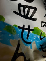 木村 瀬戸内レモン塩せん 40g