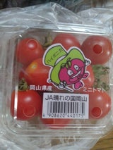 JA岡山 ミニトマト