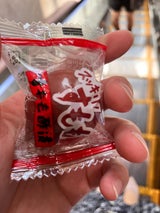 ASフーズ スッキリすもも 1個