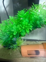 テトラ フレキシブルプラント FP-2