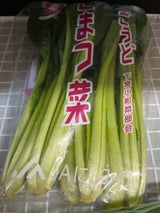 JA全農岐阜 プレミアム小松菜 200g