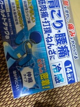 クールメトテックA 14枚