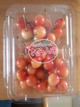 余市 さくらんぼ フードパック 250g