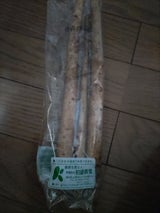 柏崎青果 ごぼう