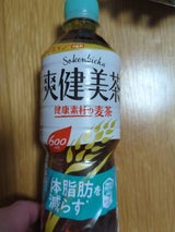 コカコーラ 爽健美茶 健康素材の麦茶 600ml