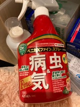 住化 ベニカXファインスプレー 420ml