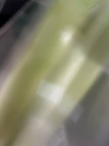 JA京都やましろ 九条ネギ 京都産