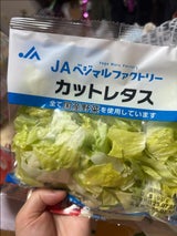 JA三重 サラダレタスN 1P