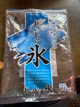 中勢 おいしい氷チャック付 1.1kg
