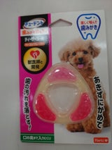 住商アグロ ハーツ デンタル ティーザー S〜M