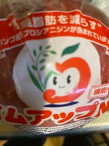 JA青森 プライムアップル ふじ