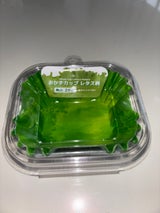 おかずカップ レタス柄角小 26P