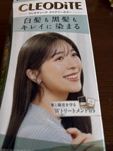 クレオディーテ クリアリーカラーエメラルドA 1個