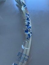 三幸 軟白の長ねぎ