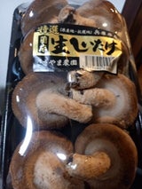 サンロン 生しいたけ