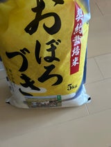 松原 おぼろづき 5kg