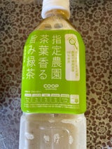 コ-プ 茶葉香る旨み緑茶N 500ml