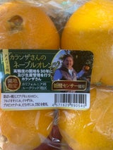 オーシャンブルー アメリカ産ネーブルオレンジ