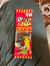 栄光 バンバン大バンするめ板ミニ 1枚