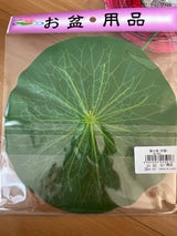 山一 ハスの葉(布製)