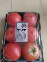 タケウチ 熊本県産太陽のトマト用袋 1P