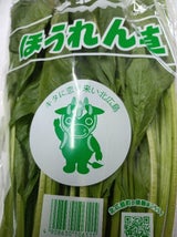 JA広島経済連 ほうれんそう