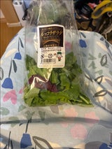 LIBRE. ルッコラサラダ 30g