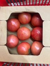 JA兵庫六甲 ゆめファームトマト 小箱