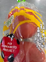 JA熊本清和 大玉トマト