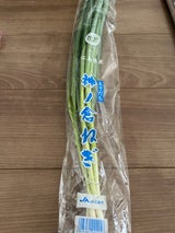 JA広島 ねぎ