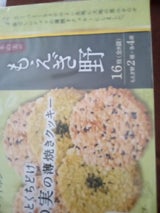 ちぼりチボン もえぎ野 16枚