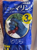 東和 ビニスターマリンBL M