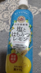 山田養蜂場 塩とはちみつレモン 490ml