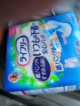 LF いつもの下着で安心パッド100cc 22枚