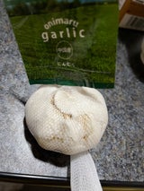 鬼丸農園 有機にんにく