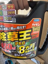 フマキラー カダン 除草王 シャワーS 4.5L