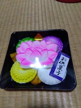 村瀬製菓 蓮の郷 5個