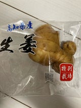 土佐園芸 高知 しょうが