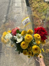 松本屋 はな 和花 380 1P