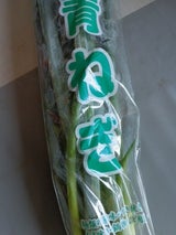 第一 奈良県産青ねぎ 1P