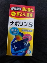ナボリンS 90錠