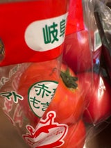 全農岐阜 麗夏トマト 600g