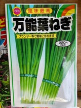 アタリヤ 万能葉ねぎ 春蒔き