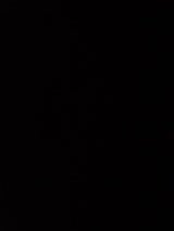 宮城製粉 ピリピリチキン 6本