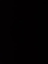 たんぽぽ おりがみケース 1P