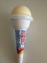 久保田 土佐造りアイスコーン 袋 100ml