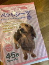 シュシュペットシーツ抗菌プラス ワイド 45枚