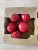 JA十和田おいらせ とまと 1kg